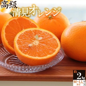 主井農園 高級 清見オレンジ 約2kg サイズ混合_ZS6156