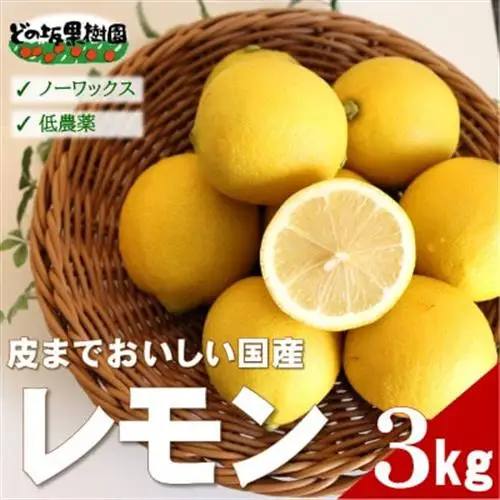 【ノーワックス】国産 紀州 レモン 約3kg(サイズおまかせ)　【★先行受付★2027年2月～発送】【1484257】