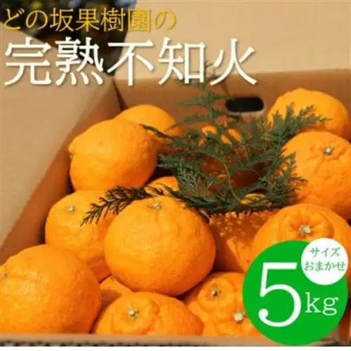 【先行予約】不知火(しらぬい)　約5kg(サイズおまかせ)/デコポンと同品種の春柑橘【配送不可地域：離島・北海道・沖縄県】【1484261】