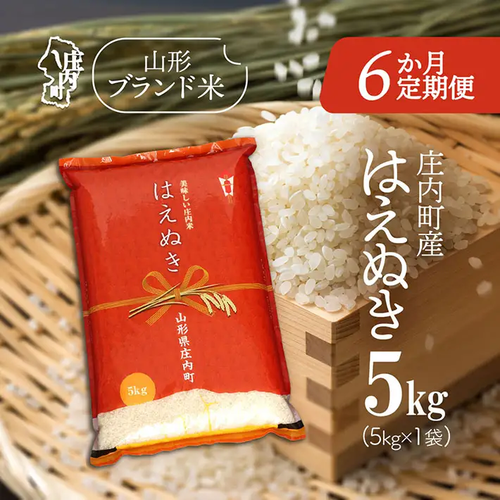 【6か月定期便】庄内米 はえぬき 5kg 毎月 5kg×1袋 令和7年産 / 令和8年産 余目産 あまるめ ブランド米 米 山形 庄内平野 亀の尾発祥の地 庄内 お米の定期便【8月中旬発送/入金期限：2026年7月25日】