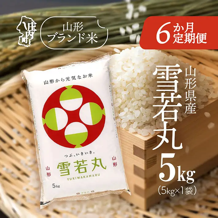【6か月定期便】特A 山形米 雪若丸 5kg 毎月 5kg×1袋 令和7年産 / 令和8年産 ブランド米 米 山形 庄内平野 定期【8月中旬発送/入金期限：2026年7月25日】