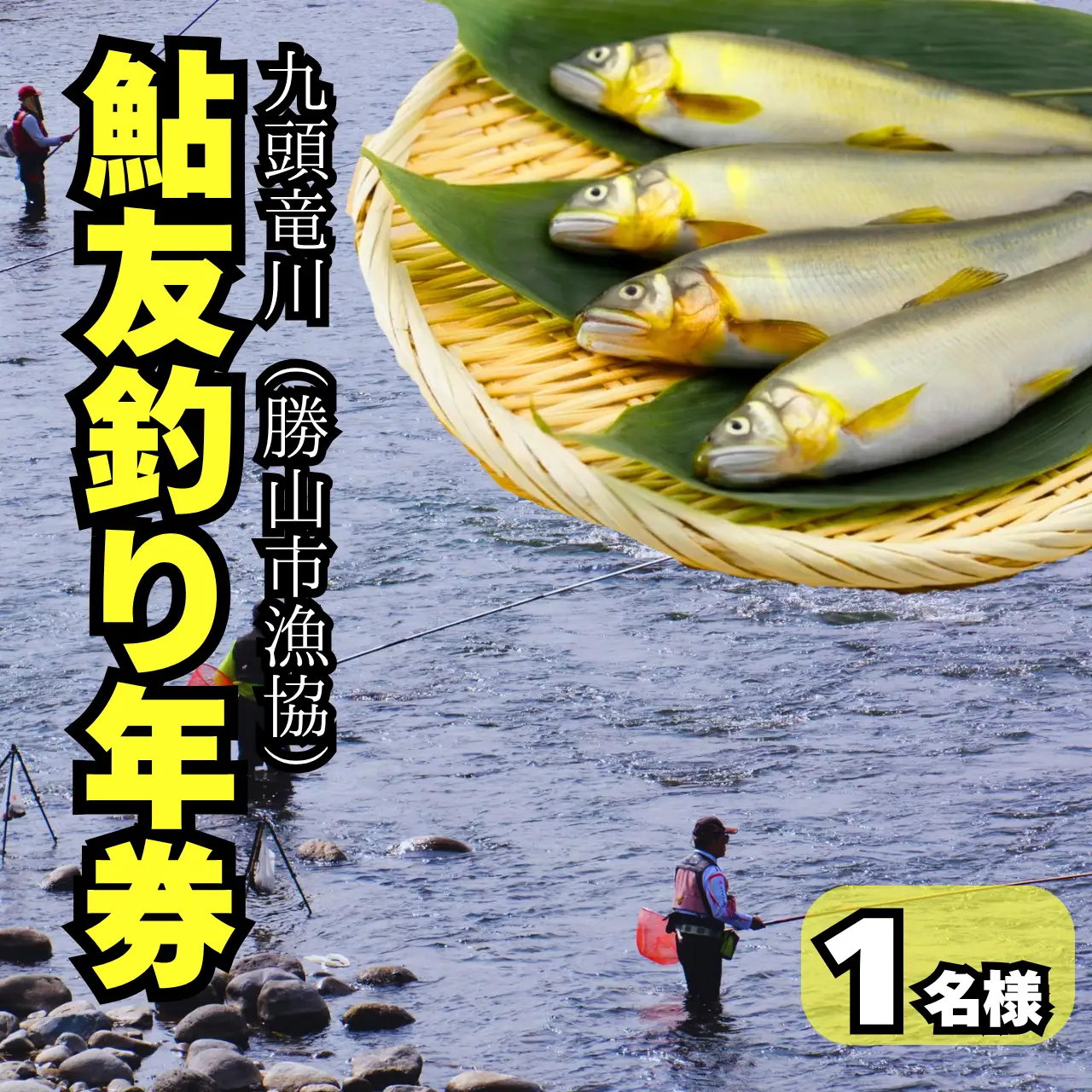 鮎友釣り年券 九頭竜川（勝山市漁協）2026年 1名様分 [D-001004]