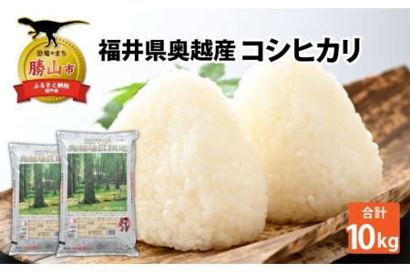 令和6年産 福井県産奥越コシヒカリ5kg ×2袋（計 10kg） [B-015007]
