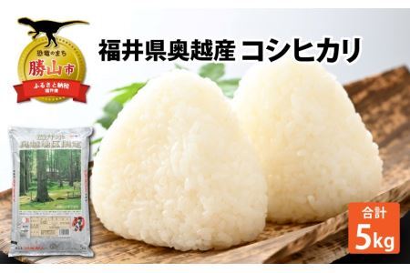 令和6年産 福井県産奥越コシヒカリ5kg ×1袋 [A-015020]