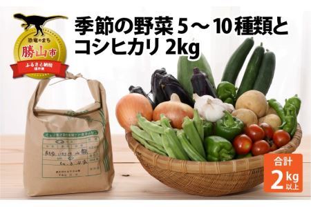 季節の野菜5～10種類と令和6年産 コシヒカリ2kg [A-020011]