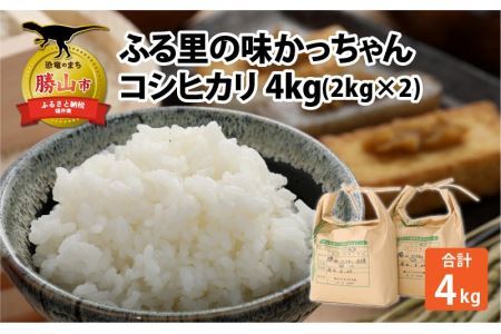 令和6年産 コシヒカリ4kg [A-020015]