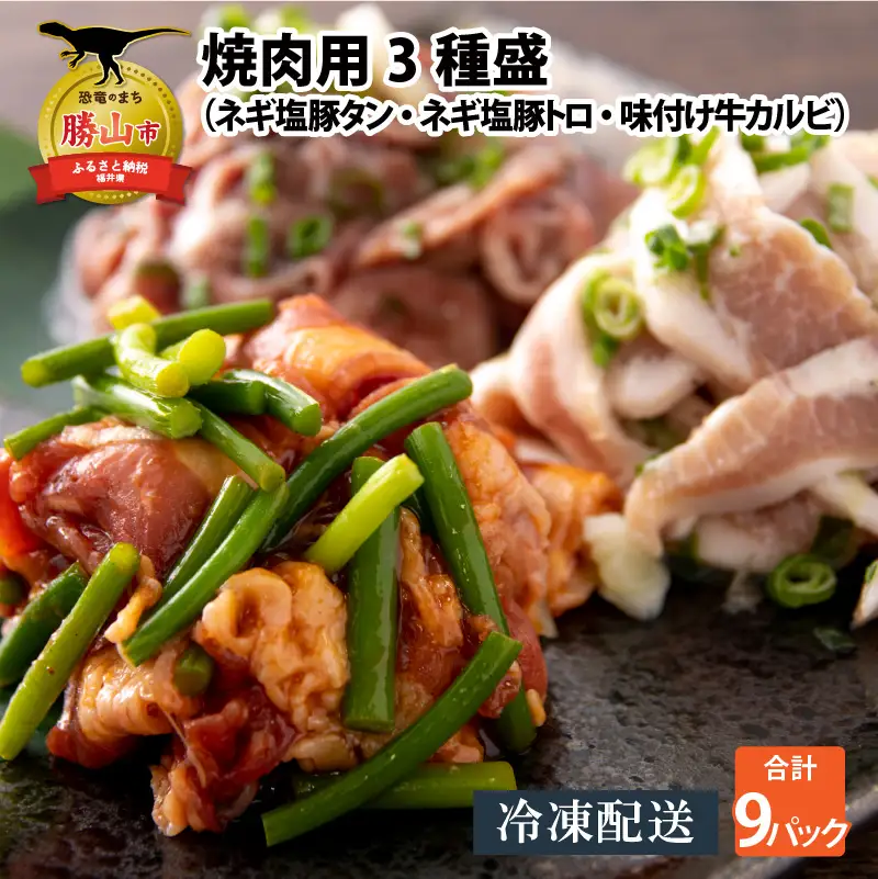 焼肉 3種盛セット ネギ塩豚トロ・豚タン・牛カルビ 3セット [B-037002]