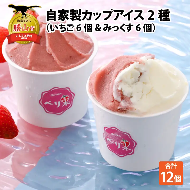 アイスクリーム 2種セットアイス
