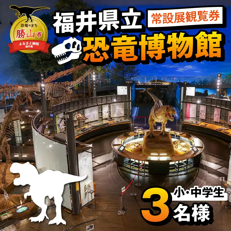 恐竜博物館 観覧券 常設展 小中学生3名 [A-048012]