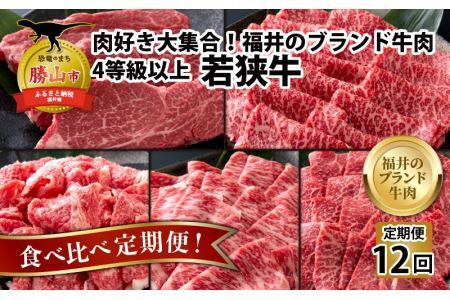【肉の定期便×12回コース】肉好き大集合！若狭牛 食べ比べ 定期便！【福井のブランド牛肉】【4等級以上】[O-058001]