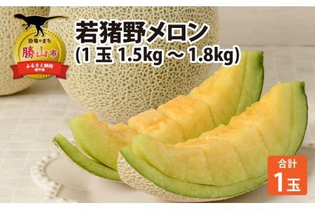 【先行予約】勝山 若猪野メロン (1玉 箱入り)  ※2024年7月中旬～8月中旬頃発送 [A-058004]