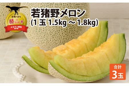 【先行予約】勝山 若猪野メロン (3玉 箱入り)   ※2024年7月中旬～8月中旬頃発送 [B-058004]
