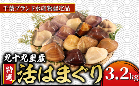 活け はまぐり 九十九里産 約3.2kg 【 はまぐり 】