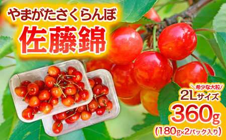 やまがた さくらんぼ 佐藤錦 "希少な大粒" 2Lサイズ 360g(180g×2パック入り) 1箱【令和9年産先行予約】FS25-573