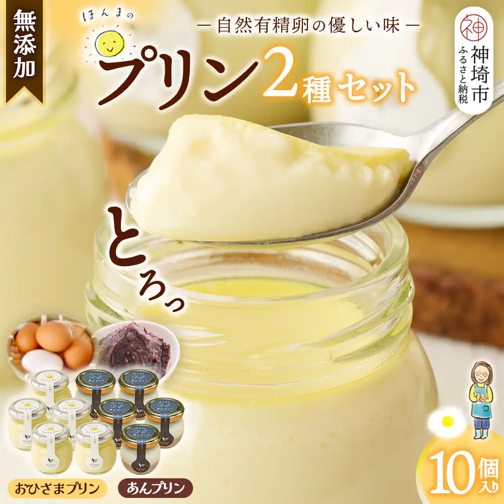 本間農園の無添加プリン2種 10個セット (H073113)
