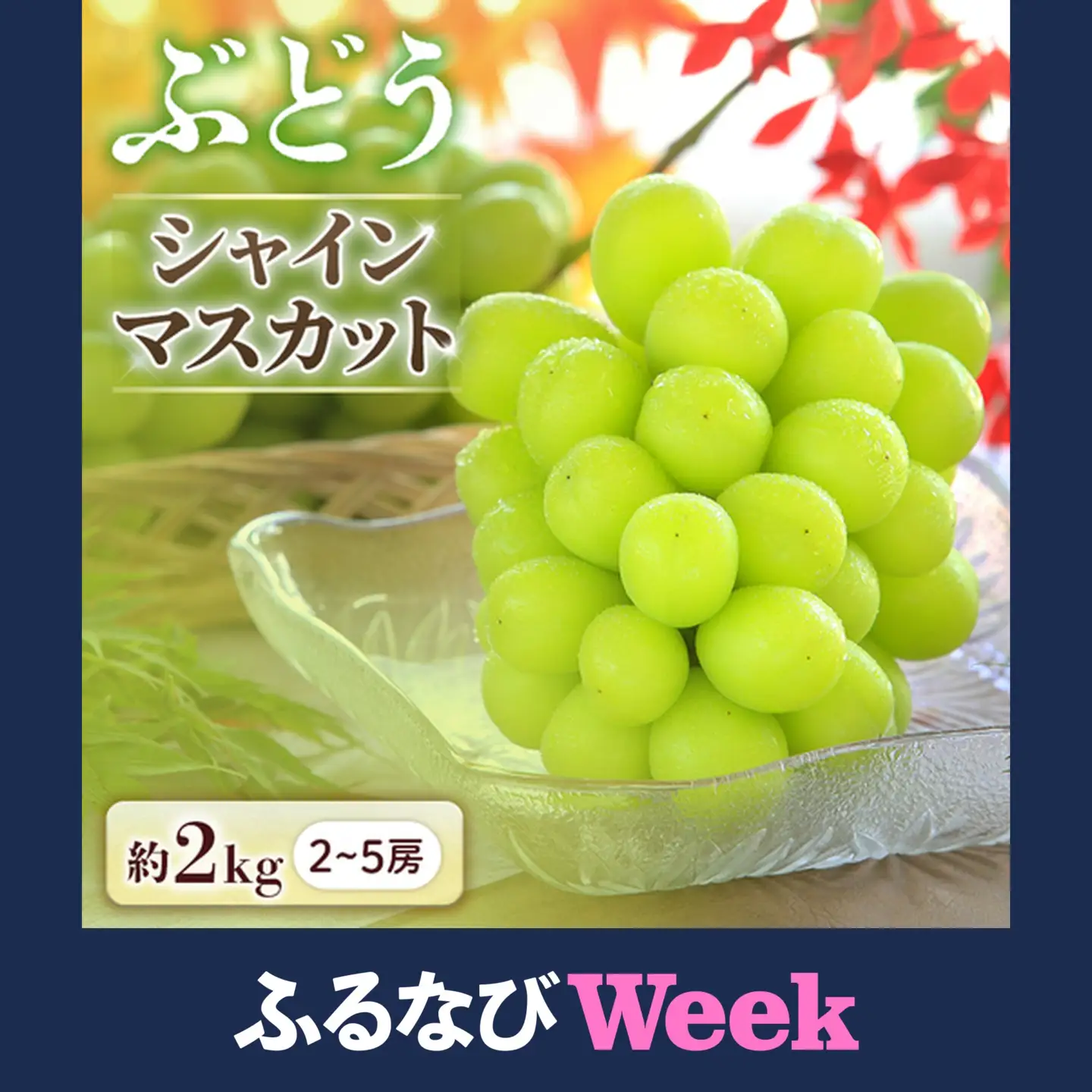 【ふるなびWEEK対象】長野産シャインマスカット 約2kg ぶどう シャインマスカット