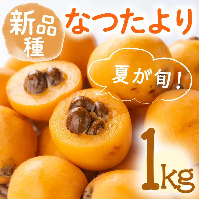 ＜先行予約！2027年5月下旬以降順次発送予定＞なつたより びわ(約1kg) 果物 フルーツ 産地直送 【man066】【Aglio nero】