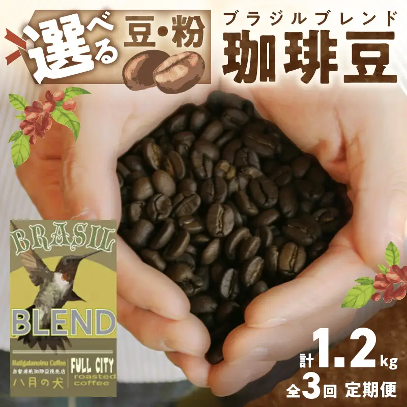 コーヒー豆 ブラジルブレンド 定期便 400g×3回 コーヒー豆
