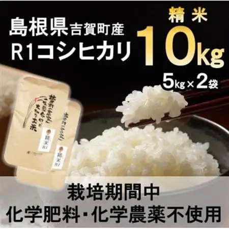 【栽培期間中化学肥料・化学農薬不使用】令和7年産R1米コシヒカリ10kg(精米)【1448701】