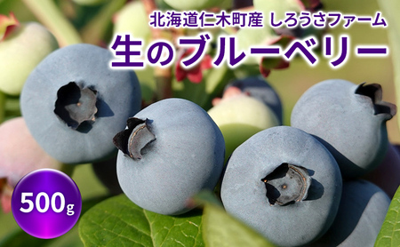 [2026年発送] 北海道 仁木町産 有機栽培ブルーベリー 500g（サイズ混合） 果物 くだもの フルーツ 果実 生ブルーベリー 国産 国産ブルーベリー 日本産 [しろうさファーム]