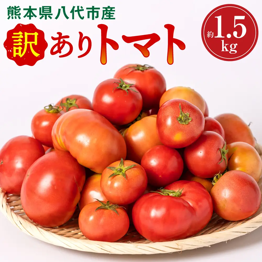 トマト 【先行予約】 訳ありトマト 約1.5kg 【2027年4月中旬より順次発送】 トマト