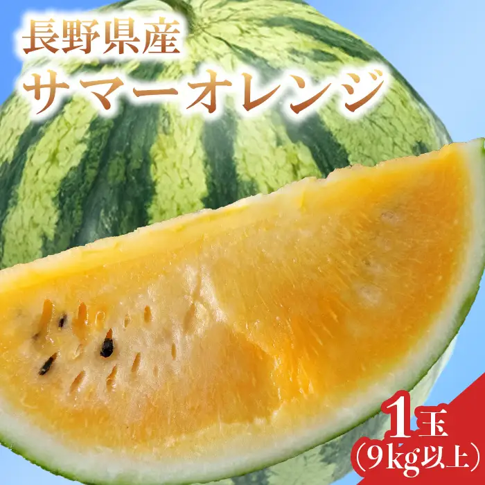 3201 長野県山形村産 すいか「サマーオレンジ」 1玉（9kg以上）