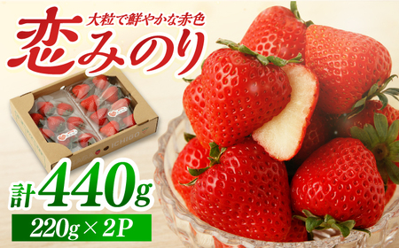【先行予約 2027年1月以降発送】「恋みのり」220g×2パック / いちご [IBH001]
