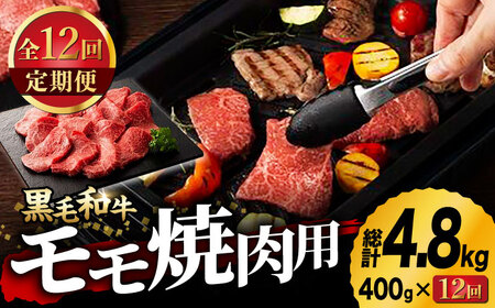 【12回定期便】藤彩牛 くまもと黒毛和牛 モモ 焼肉用 1639 [ZDT082]