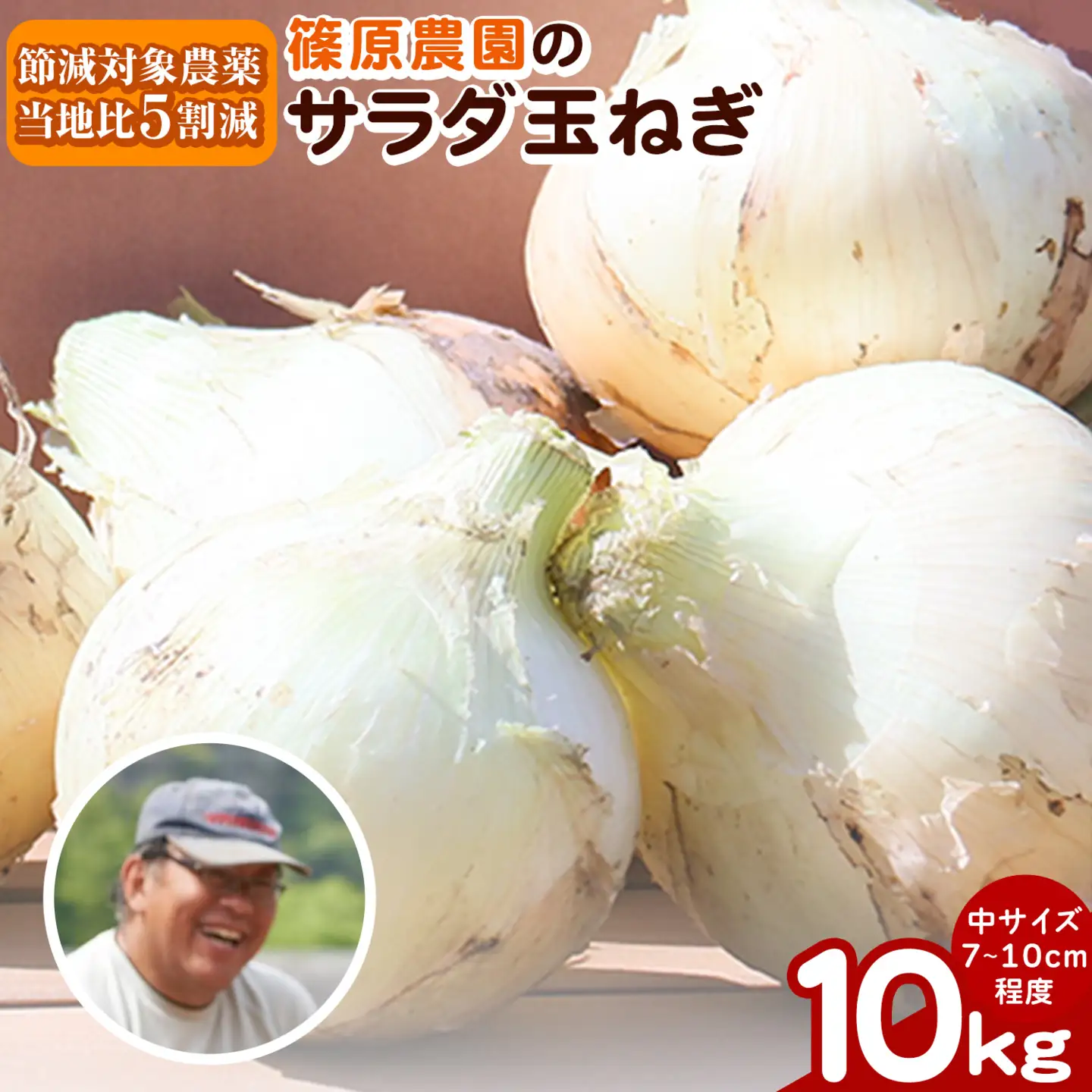 玉ねぎ サラダ 10kg 玉ねぎ