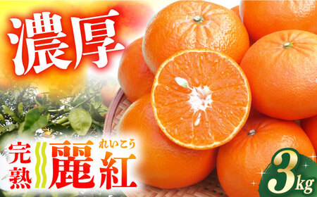 【先行予約】麗紅 約3kg[ECL001] れいこう 柑橘 果物 みかん