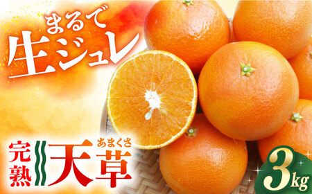 【2027年2月先行予約】天草 約3kg[ECL002] みかん
