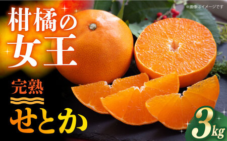  せとか 約3kg ー2027年3月より発送ー 長与町/果豊園  [ECL003]  みかん ミカン 柑橘 かんきつ フルーツ 果物 完熟 季節限定  先行予約 長崎県産 長与町