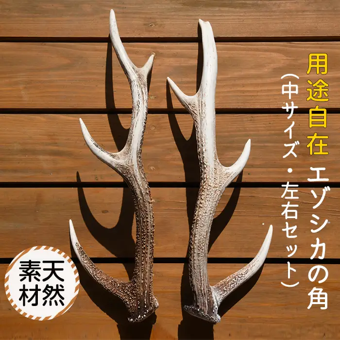 エゾシカの角（中サイズ、左右セット） FKB009