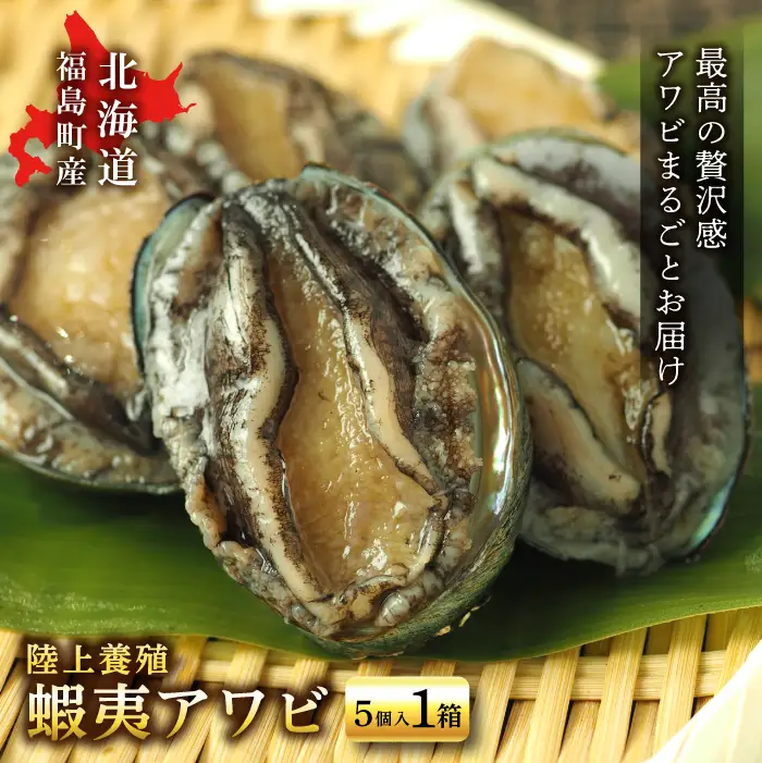 北海道福島町 陸上養殖「蝦夷アワビ」5個入 FKP001