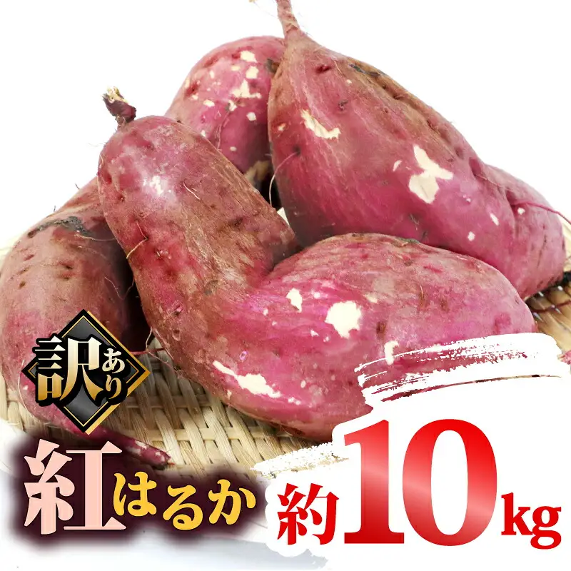 訳あり さつまいも 紅はるか 10kg 大森城山麓園 先行予約 愛媛県産 訳アリ 訳あり品 訳有り わけあり さつま芋 サツマイモ 野菜 やさい 栽培期間中 農薬 不使用 根菜 イモ 芋 産地直送 農家直送 数量限定 国産 愛媛 宇和島 F010-181002