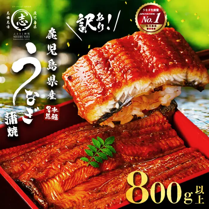 【訳あり・数量限定】復活！不揃いのうなぎ達 計800g以上 うなぎ b2-040