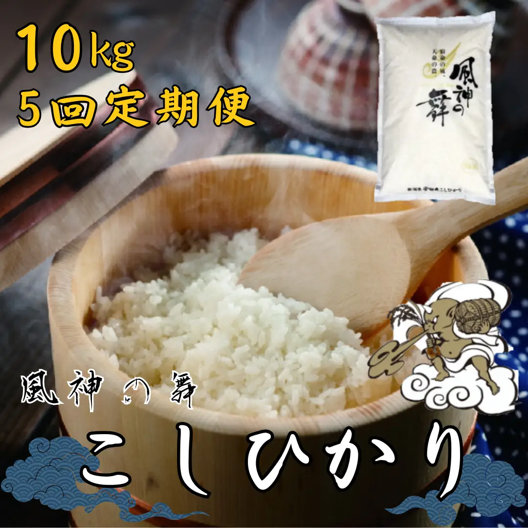 【令和7年産】【5回定期便】風を宿命として農に生きる「風神の舞」コシヒカリ 10kg（5kg×2袋） 白米 精米 新潟県 米 こめ コメ 1W02135