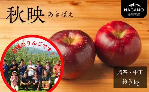 りんご 秋映 約3㎏ 贈答 / 2026年10月上旬頃～配送予定// 長野県 松川町産 ギフト 贈答 リンゴ 林檎 あきばえ 農家直送 農家支援 産地直送