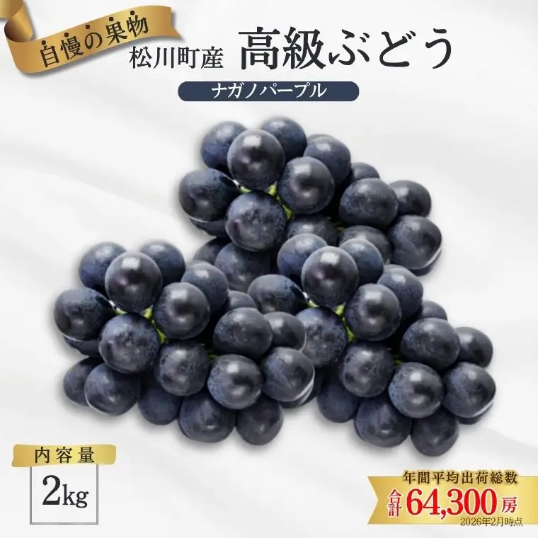 TK07　ぶどう ナガノパープル 約2kg ／2026年9月上旬頃～9月中旬配送予定 // 長野県 南信州 松川町産 種なし 皮ごと 南信州 長野県 オリジナル品種 稀少 高糖度 高品質 人気 贈答 ギフト
