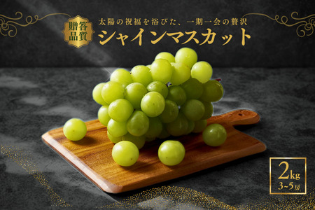 JA11　ぶどう シャインマスカット 約2kg / 2026年9月中旬～10月中旬頃 配送 // 果物 フルーツ 長野県 南信州 シャイン マスカット 期間限定 種無し 大粒 甘い 葡萄 人気 新鮮 厳選 贈答 プレゼント