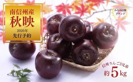 りんご 秋映 約5kg ／2026年10月上旬ごろ配送予定[JA12]//長野県 オリジナル品種 南信州産 贈答 南信州ブランド りんご三兄弟 人気 甘い 濃厚