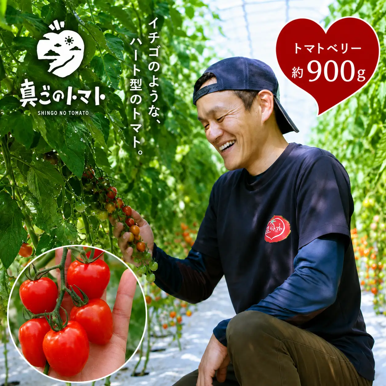 ミニトマト トマトベリー 約900g｜坂本農園