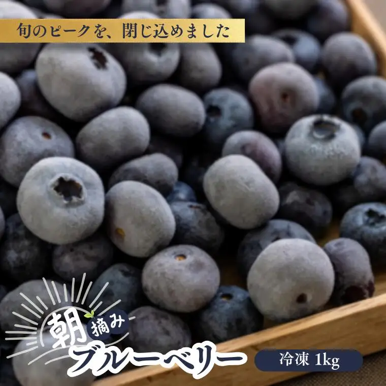KB05 冷凍ブルーベリー 約1kg【2Lサイズ以上】／2026年8月上旬頃から順次発送｜ 長野県 南信州 松川町 摘みたて 朝摘み 新鮮 安全 産地直送 農家直送 大粒 2Lサイズ以上 冷凍 ブルーベリー 果物 フルーツ