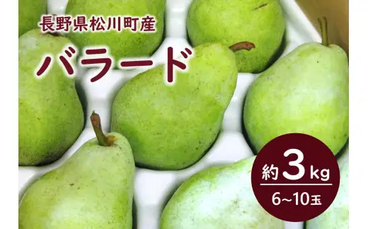 KL09 洋梨 バラード 約3kg 贈答 松川町産／2026年10月中旬頃から配送予定//長野県 松川町 梨 洋梨 洋ナシ バラード ラフランス交配品種 日本生まれ 農家直送 西洋梨 果物 フルーツ