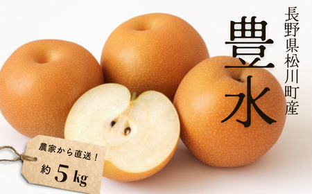 KW01 梨 豊水 約5kg（9～14玉） 松川町産 贈答／2026年9月中旬頃～配送 //長野県 南信州 松川町 和梨 梨 なし ナシ 産地直送 農家直送 農家支援 贈答 豊水 果物 フルーツ 甘い
