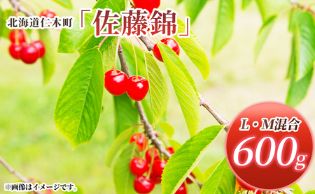 さくらんぼ 600g 佐藤錦 L・M混合 サクランボ