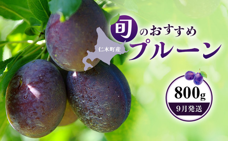 プルーンフルーツ 9月発送 北海道産 プルーン【800g(400g×2)】