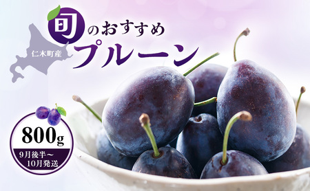 プルーンフルーツ 9月後半～10月発送 北海道産 プルーン【800g(400g×2)】