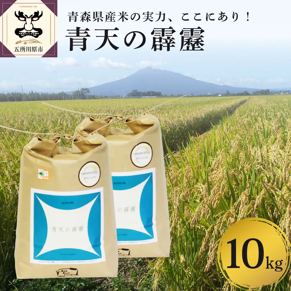 青天の霹靂 【令和8年産】【先行受付】 米 10kg (5kg×2) 特別栽培米 青森県産