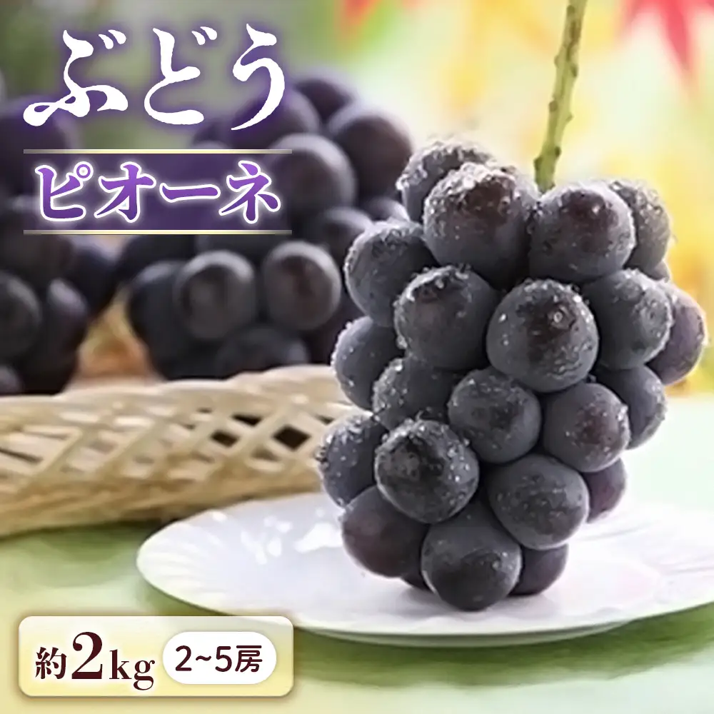 ぶどう ピオーネ 約2㎏ ぶどう